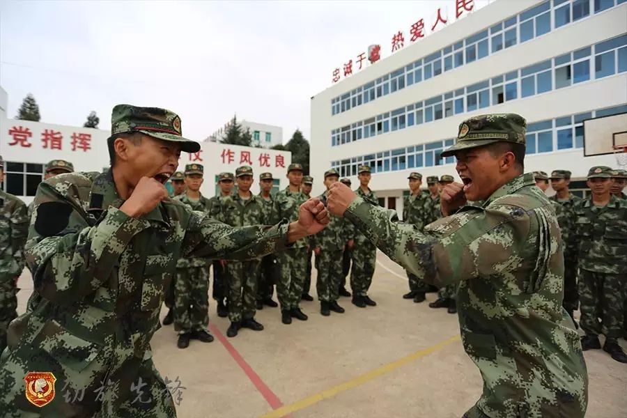 鸭脖官网登录