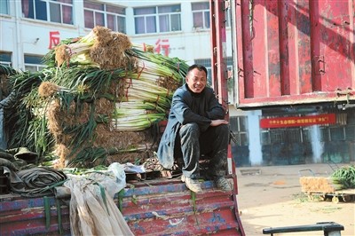 鸭脖官网登录