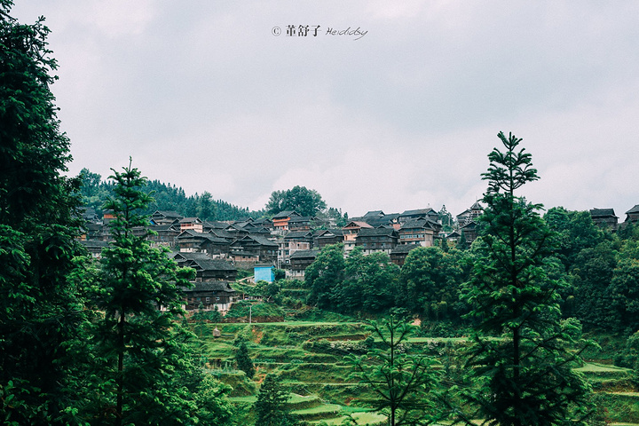 鸭脖官网登录